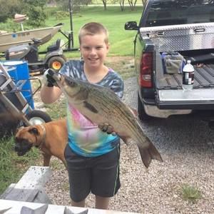 Meet your Posher, Steve